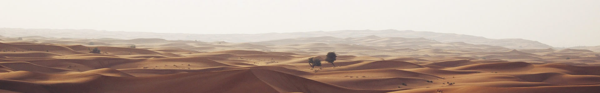 ¶ؼ޹˾